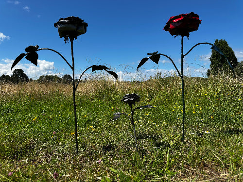 Two large roses that are black and red are shown next to a normal sized steel rose to give the scale. Made by blacksmith Justin