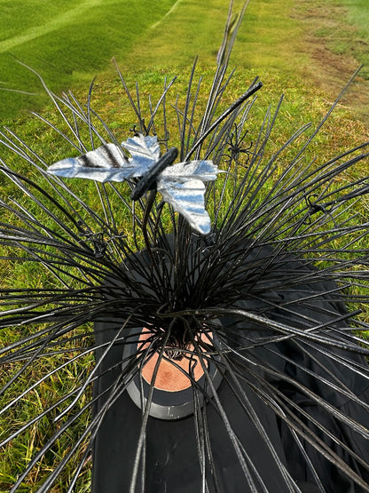 See our small added details