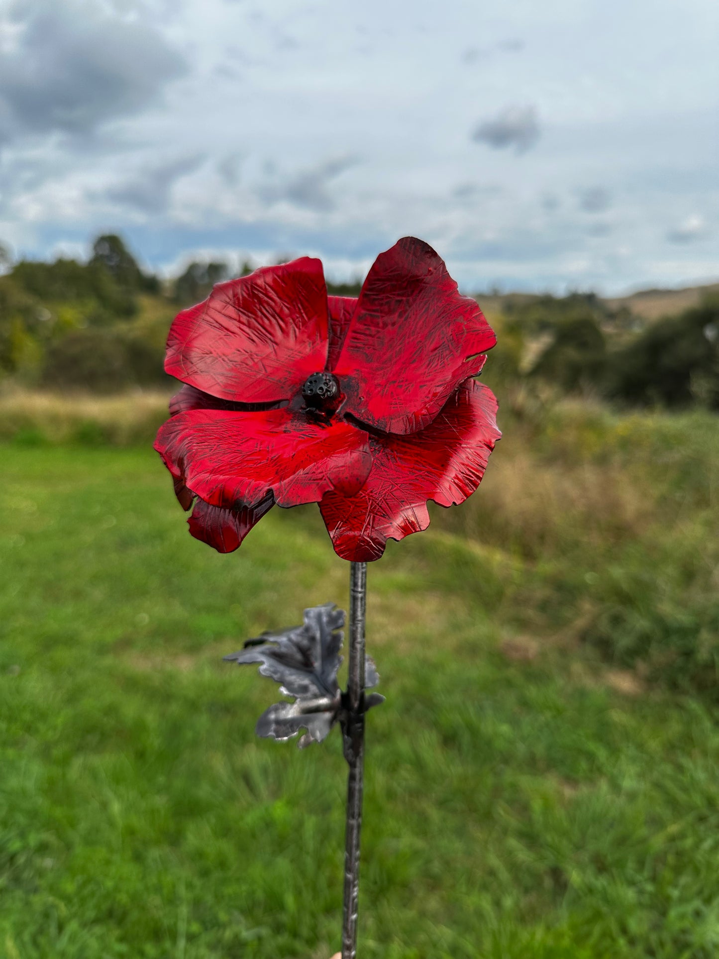 Red steel poppy