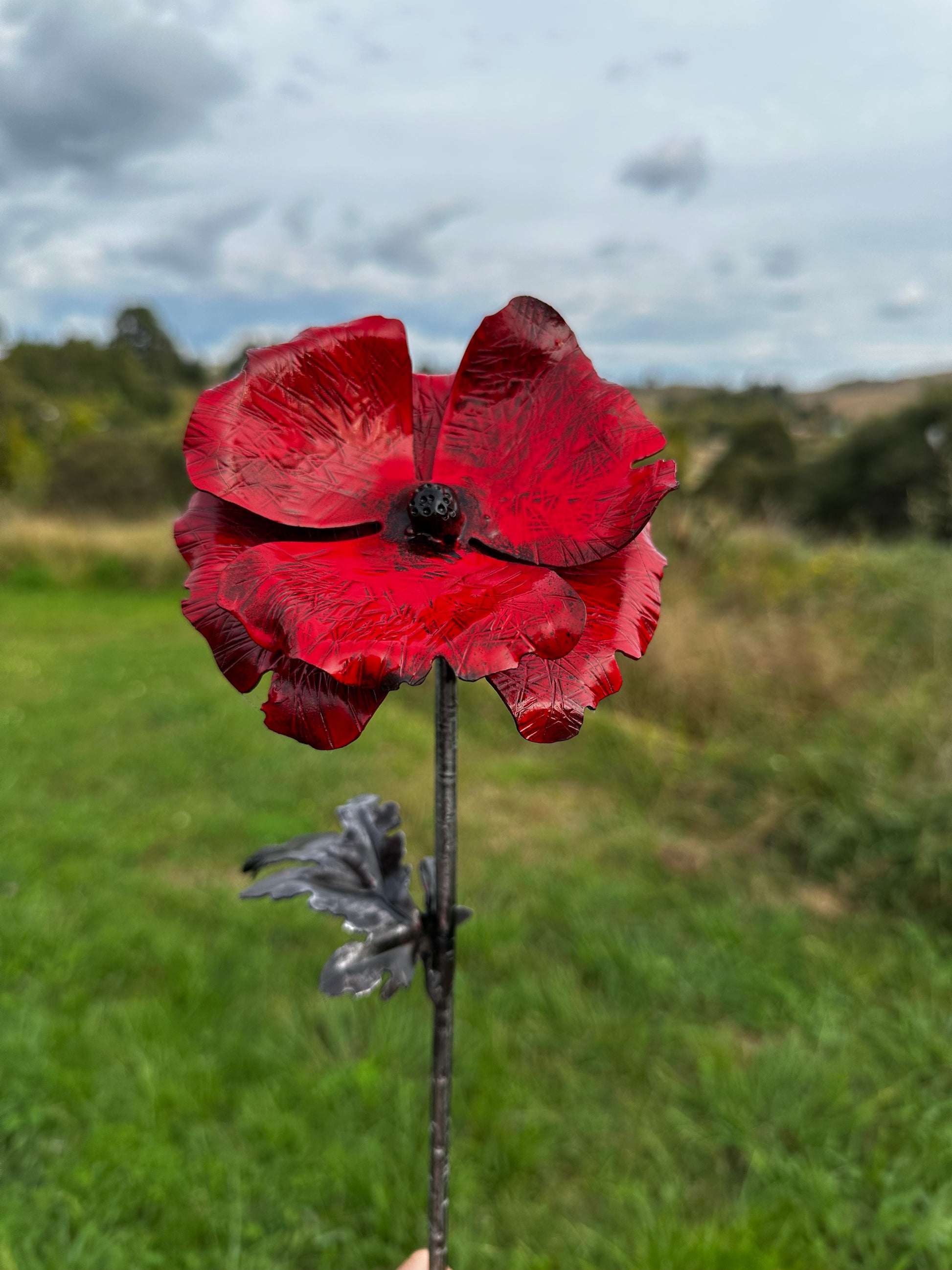 Red steel poppy