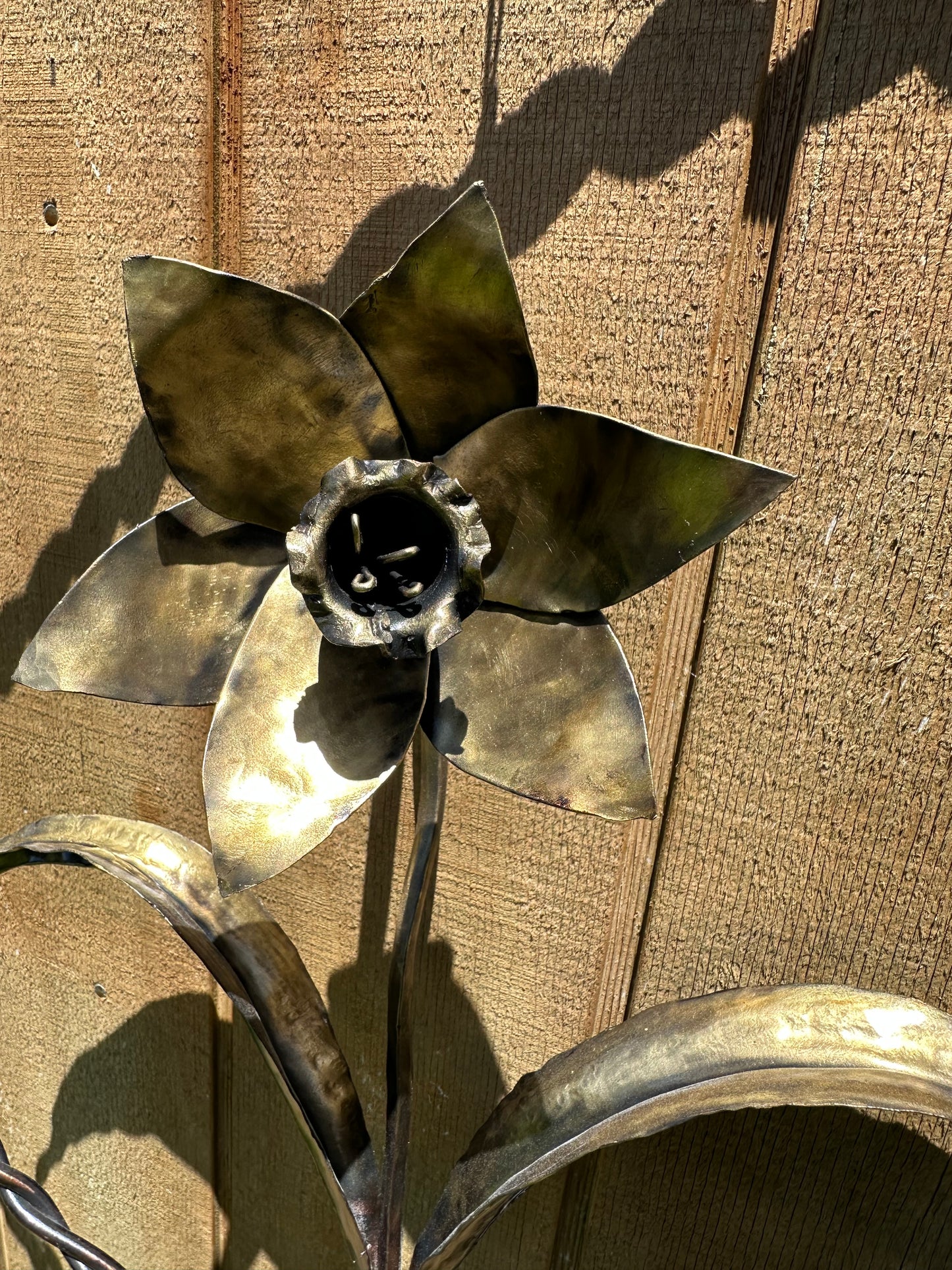 Single daffodil made from mild steel with a dusty gold finish, displayed in a round metal ring.