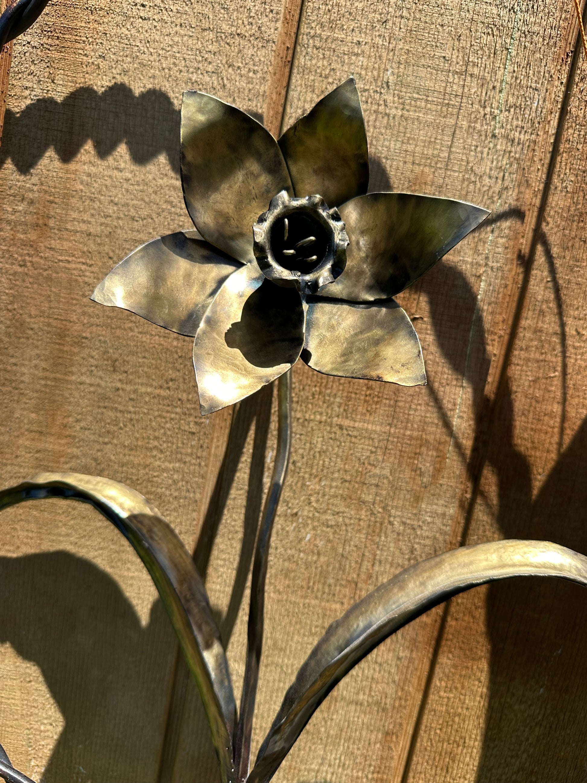 Bronze tinted steel daffodil mounted inside a circular steel frame.