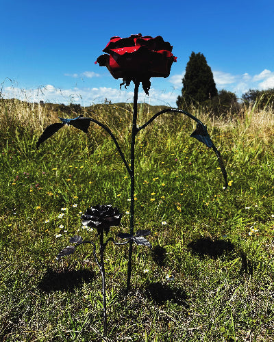 This is a large steel rose made by the NZ Blacksmith, it stands next to a smaller rose that is also available to purchase. 