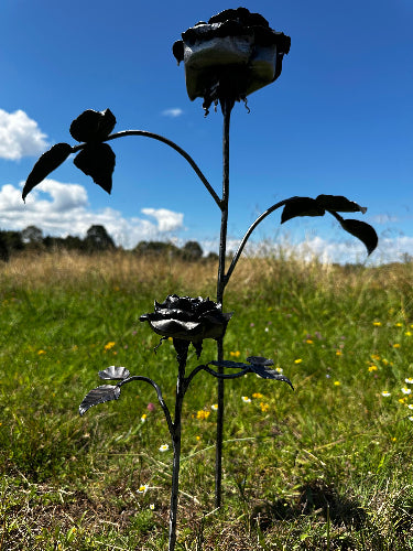 Here is a jumbo rose standing next to a standard metal rose in the sunshine on a green hillside