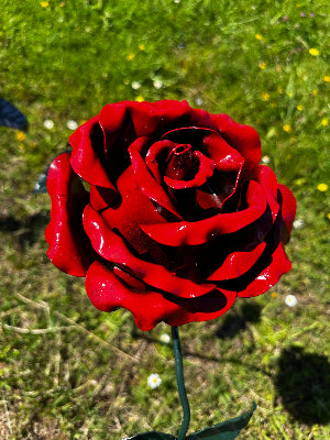 this is a closeup of the steel headed rose in the larger size that All Fired Up offers on its website. handmade by Blacksmith. 