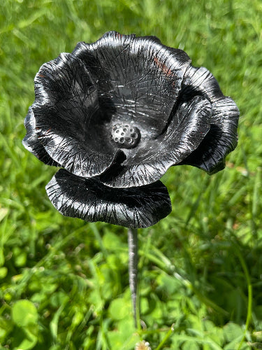 Steel Poppy closeup showing the detail