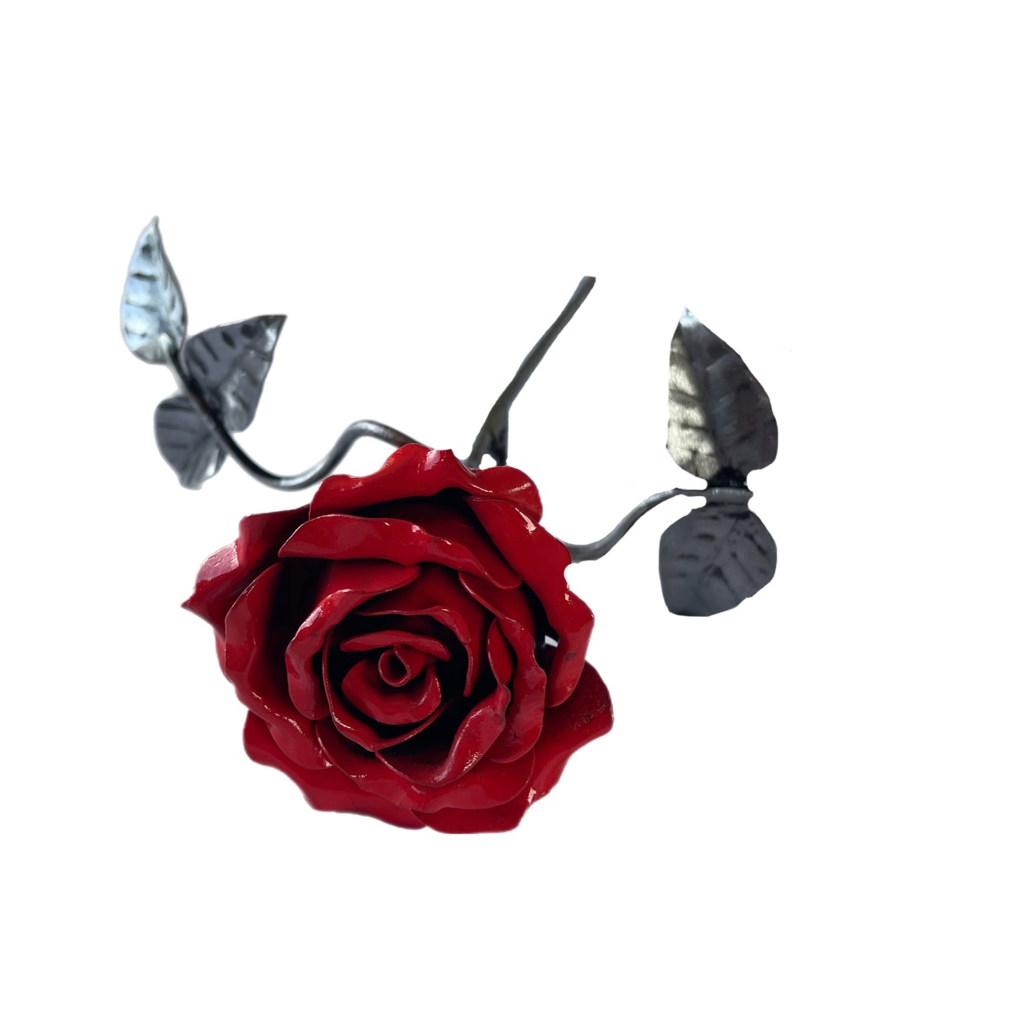 Steel Rose